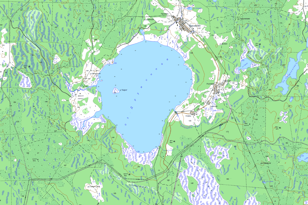 карта  озеро Дружинное  в хорошем качестве