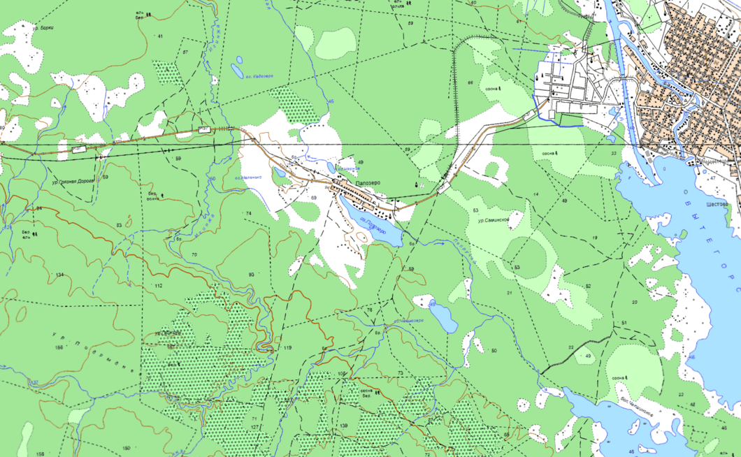карта  озеро Палозеро   в хорошем качестве