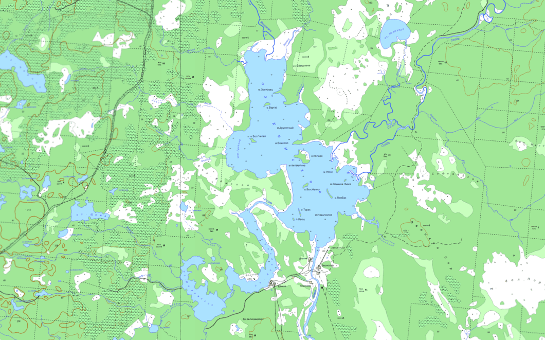 карта  озеро Кемское   в хорошем качестве
